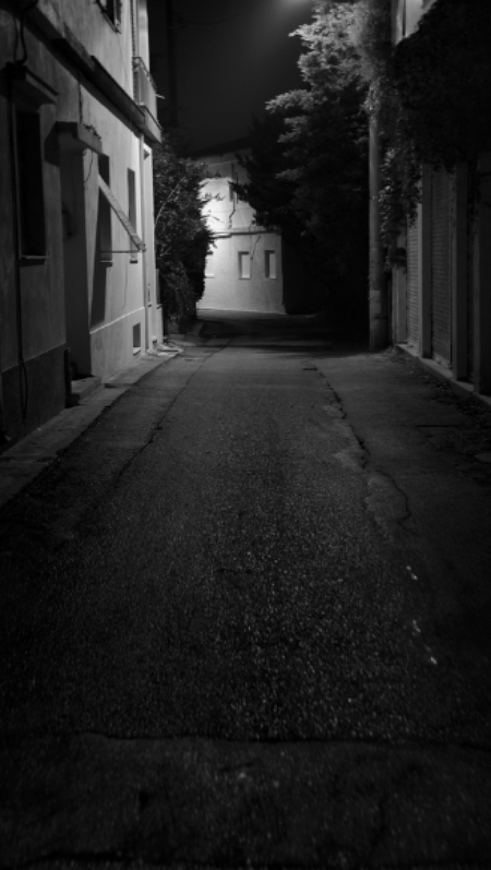 Dark Alleyway Backdrop Photo Pie