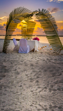 Tall Romantic Beachside Backdrop