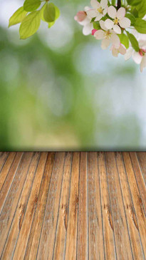 Tall Bokeh Blossom Backdrop