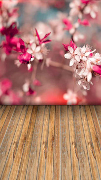 Tall Pink Bokeh Blossom Backdrop