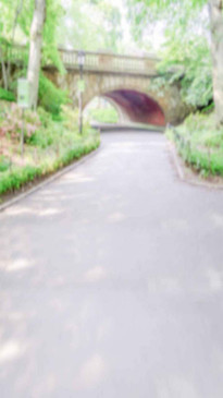 Tall Summer Bridge Backdrop