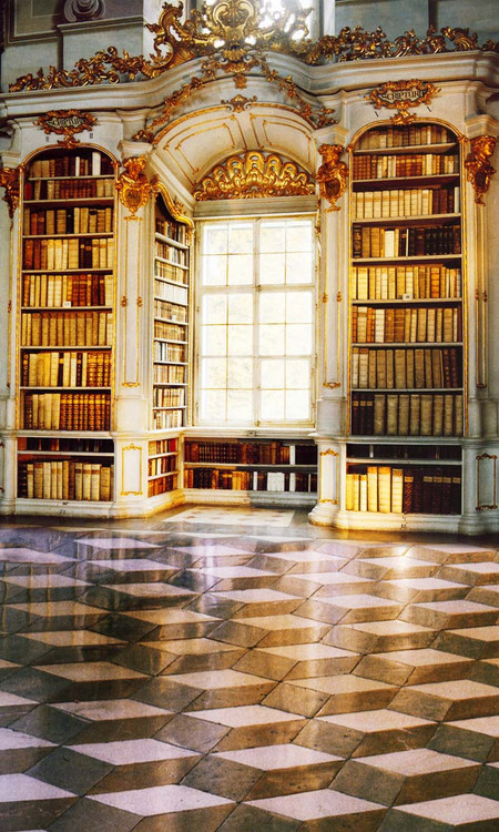 Mansion Library Backdrop | Photo Pie