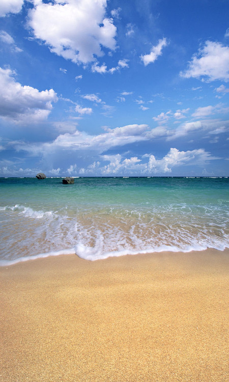 Sandy Beach Backdrop | Photo Pie