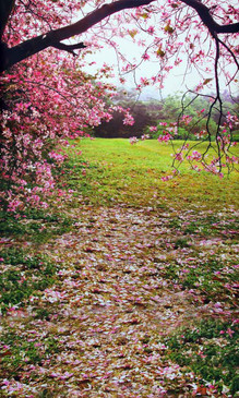 Spring Tree Backdrop