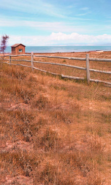 Pasture Fence Backdrop