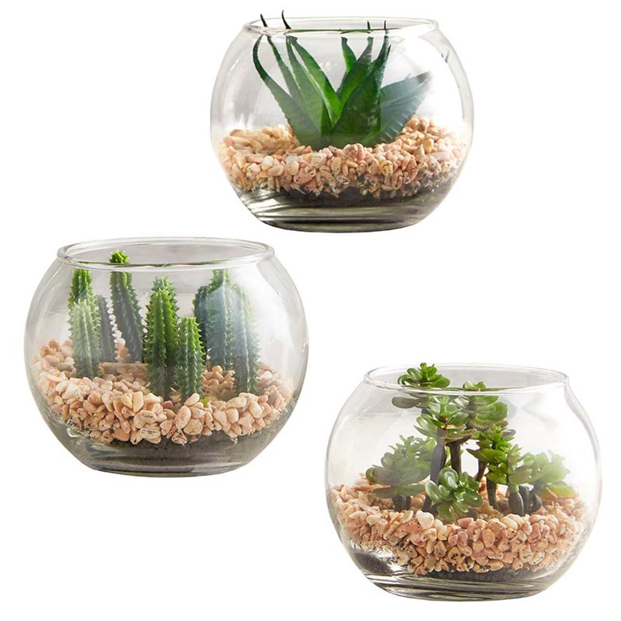 Succulent in Glass Pot - Set of 3 - 47th & Main