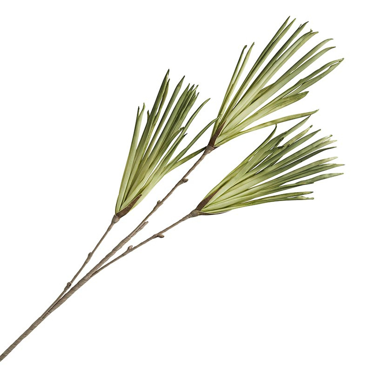 Long Needle Pine Stems - Bundle of 5 Stems