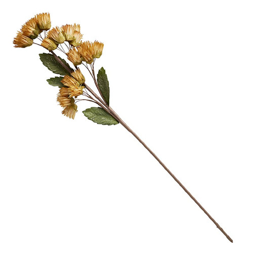 Flower Stem  -  001