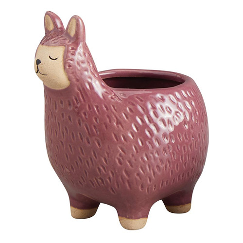 Purple Llama Pot