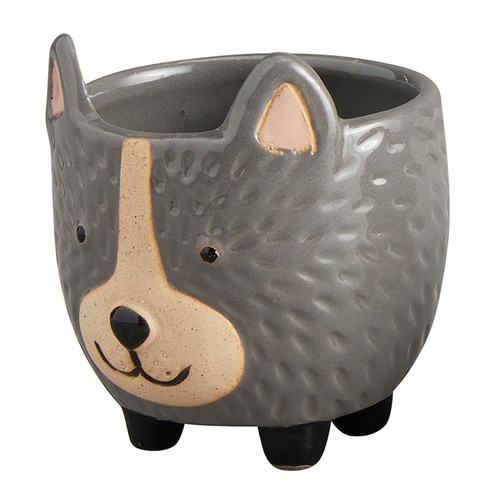 Hedgehog Pot