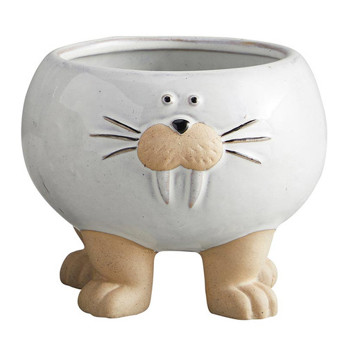 White Walrus Pot