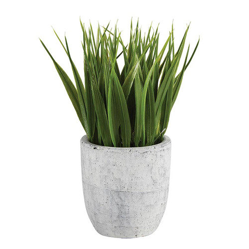 Grass In Cement Pot