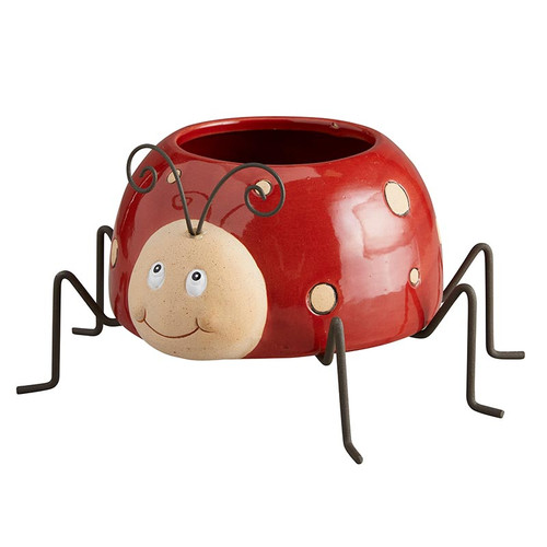 Ladybug Pot