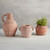 Brick Red Flower Pot with 2 handles - Small