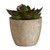 Succulent in Cement Pot - Set of 3