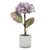 Potted Lavender Hydrangea