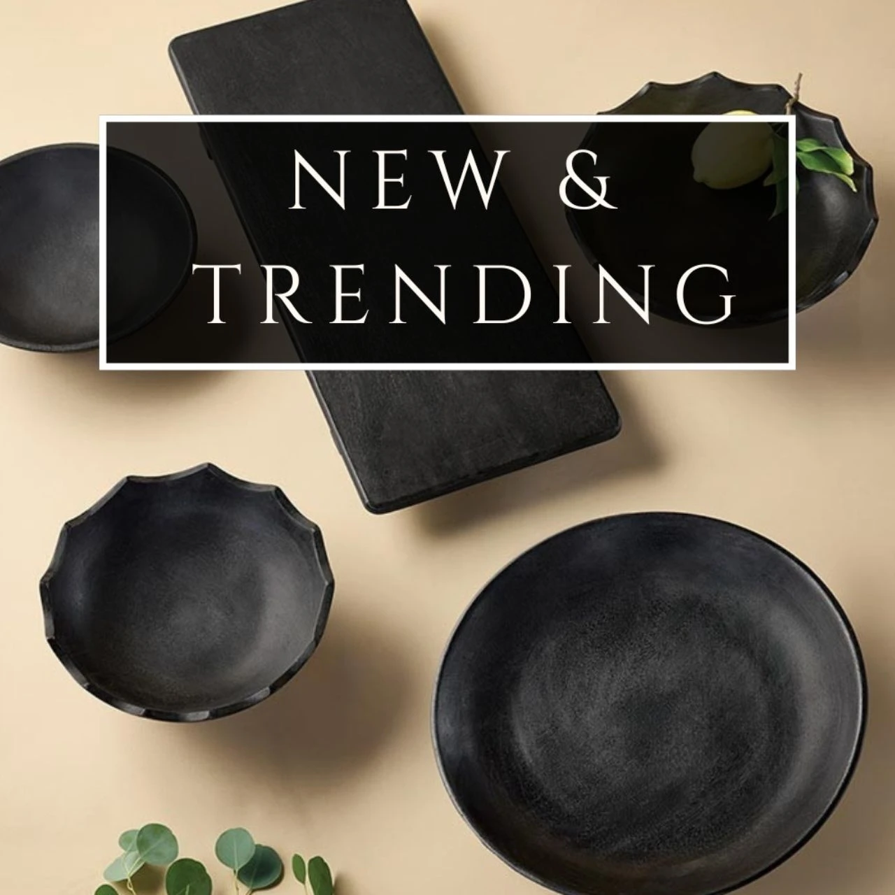 SHOP NEW & TRENDING