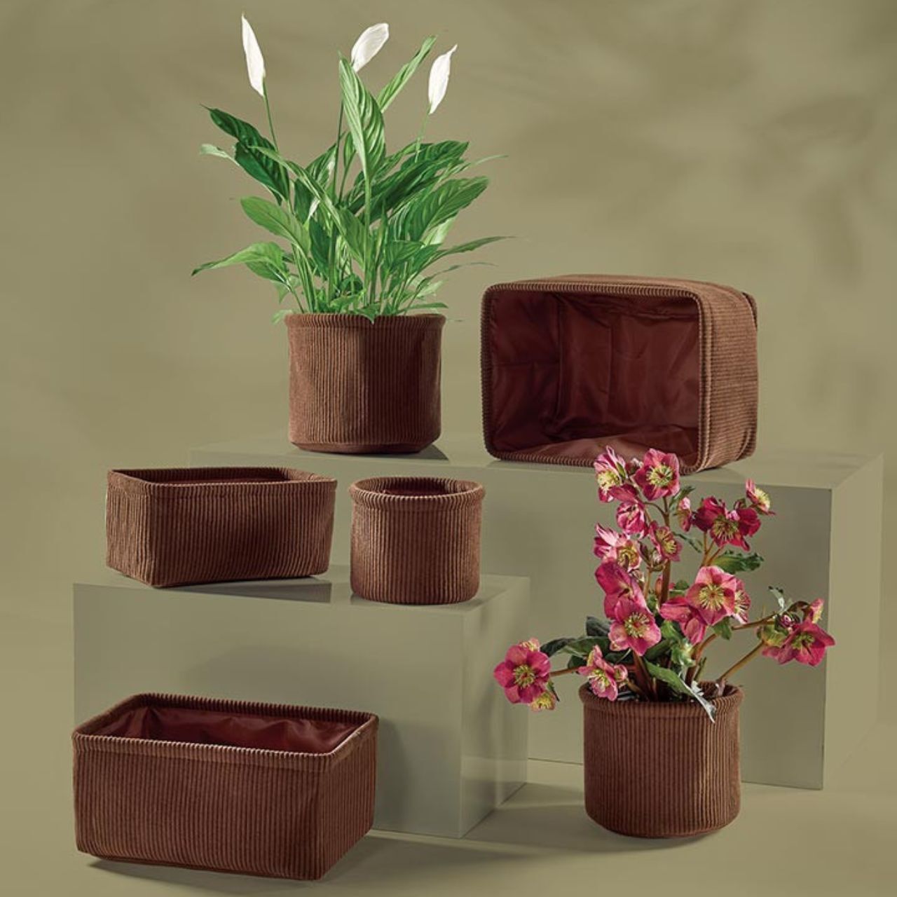 SHOP SUMMER DECOR