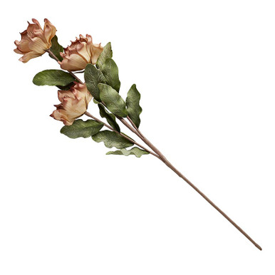 Flower Stem - 004