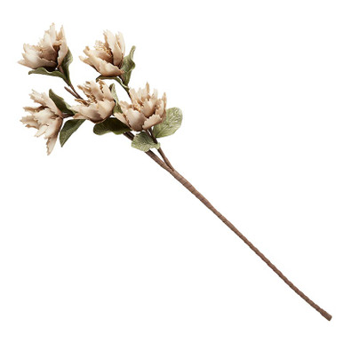 Flower Stem - 005