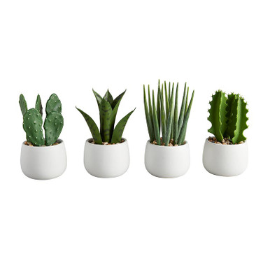 White Pot Cactus Set - [Consumer]47th & Main
