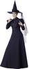 Women's Witch Adult Costume