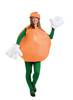 Women's Orange Adult Costume