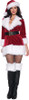 Women's Secret Santa Adult Costume