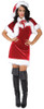 Women's Merry Holiday Adult Costume