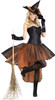 Women's Be Witchin' Adult Costume