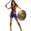 Women's Grand Heritage Wonder Woman-Dawn Of Justice Adult Costume