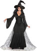 Women's Black Mist Witch Adult Costume