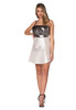 Women's Salty Salt Shaker Dress Adult Costume