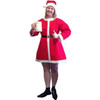 Women's Kringle's Kompanion Adult Costume