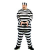 Men's Convict Adult Costume