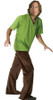 Men's Shaggy-Scooby-Doo Adult Costume