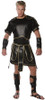 Men's Spartan Adult Costume