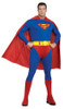 Men's Superman Adult Costume