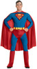 Men's Superman Adult Costume