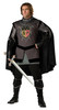 Men's Dark Knight Adult Costume