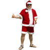 Men's Sunny Claus Microfiber Suit Adult Costume