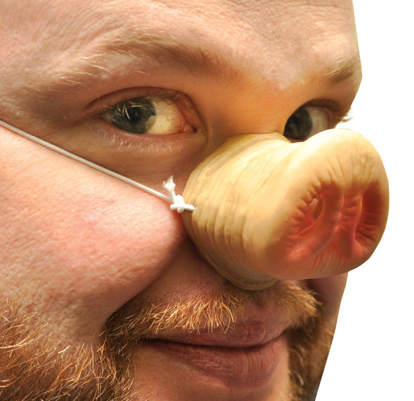 Nose Pig With Elastic Adult