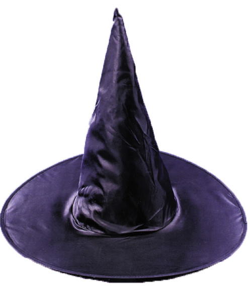 Women's Taffeta Witch Hat