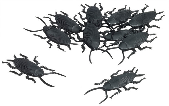 Cockroaches-Pack Of 10