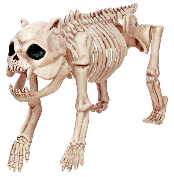 Skeleton Bones The Dog Prop