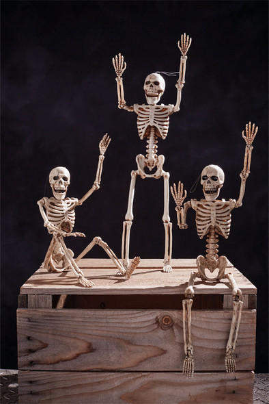 14" Posable Skeleton