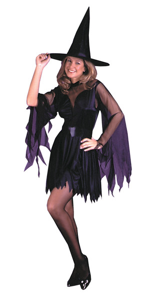 Women's Sexy Witch Adult Costume