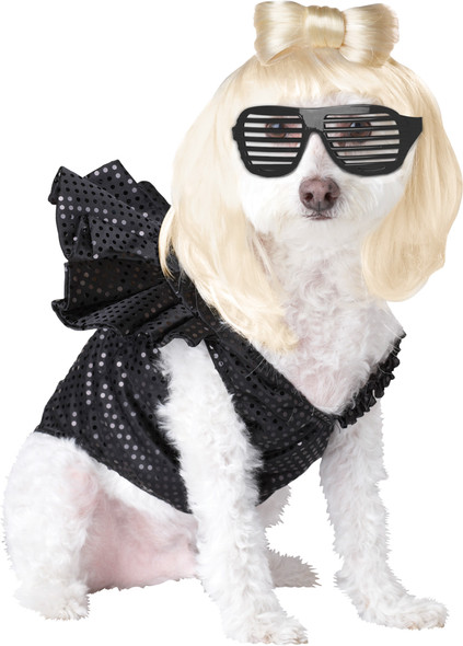 Pop Sensation Dog Pet Costume