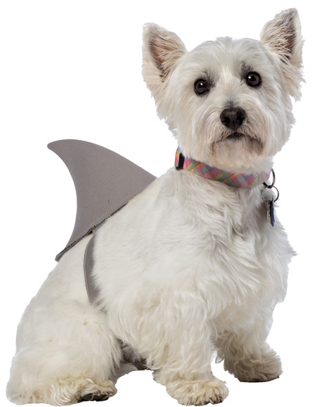 Shark Fin Dog Pet Costume