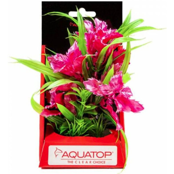 Aquatop Vibrant Passion Aquarium Plant Rose - 6" tall